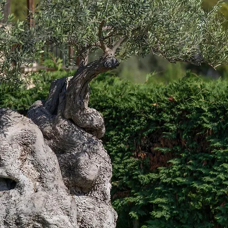 Anastasia's House Ouranoupoli