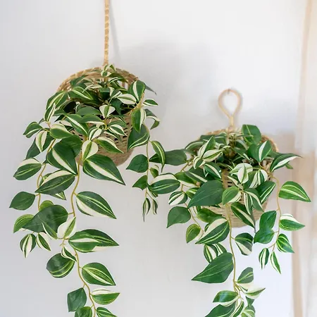 Anastasia's House Holiday home