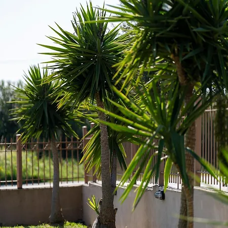 Anastasia's House Holiday home Ouranoupoli