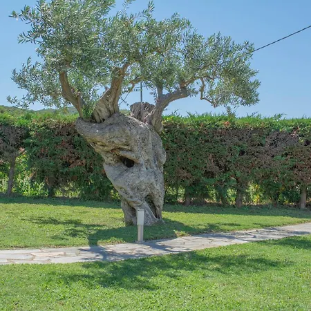 Anastasia's House * Ουρανούπολη